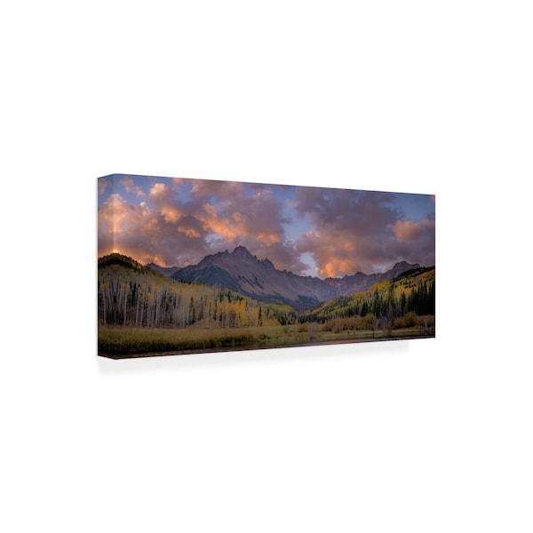 Dan Ballard 'Forest 2 Mountains' Canvas Art,8x19